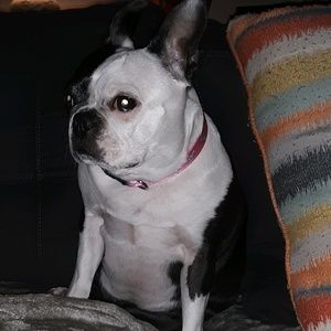 Meet your Posher, Wendi